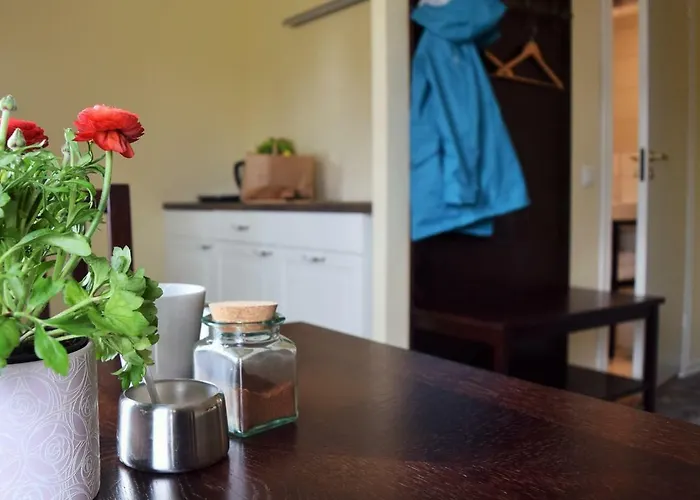 Lägenhet Otepaeae Apartments *